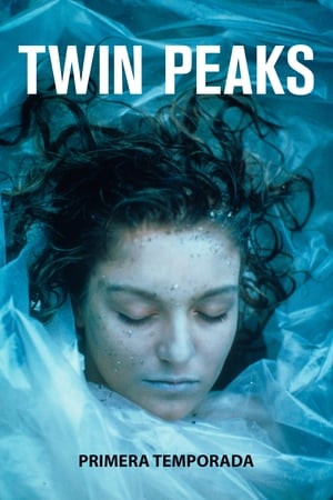 Twin Peaks temporada  1 online