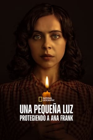 Una pequeña luz: protegiendo a Ana Frank temporada  1 online